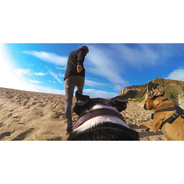 Кріплення-упряжка для собак GoPro Fetch Dog Harness ADOGM-001