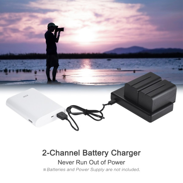 Зарядное устройство FB DC-DU-E6 DC dual slot charger