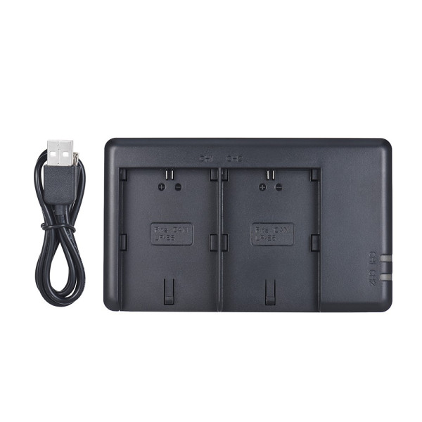 Зарядное устройство FB DC-DU-E6 DC dual slot charger