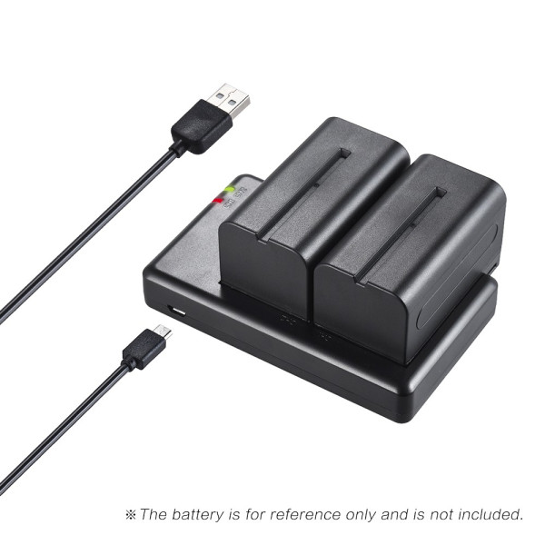 Зарядное устройство FB DC-DU-E6 DC dual slot charger