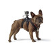 Крепление для собак Fetch Dog Harness (аналог)