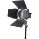 Постійне світло Nanlite Forza 60B Bi-Color LED Monolight