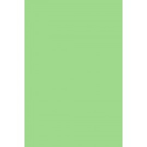 Фон Savage Widetone Mint Green 2.72mx 11m