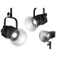 NanLite Forza 300 LED Monolight - Постоянный свет