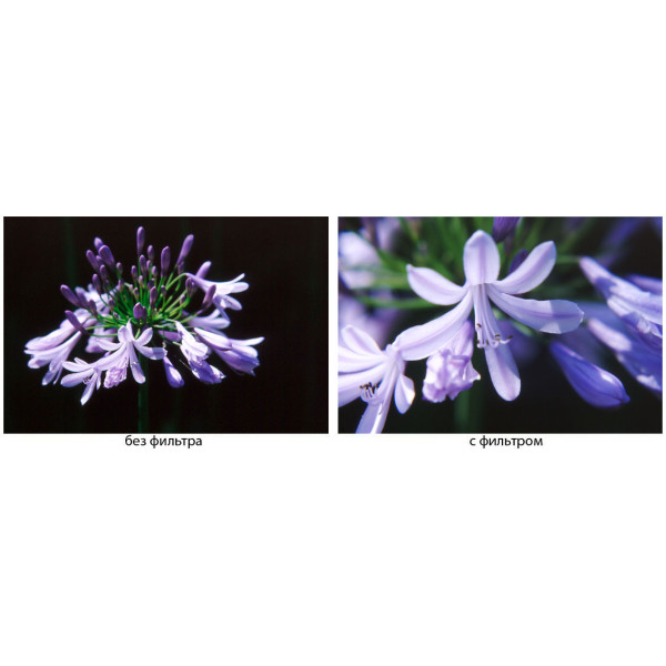 MARUMI Светофильтр Close-up +2 MC 72mm