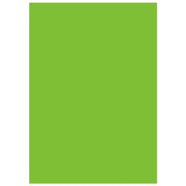 Фон Savage Infinity Vinyl Chroma Green Хромакей 1.52mx 2.13m