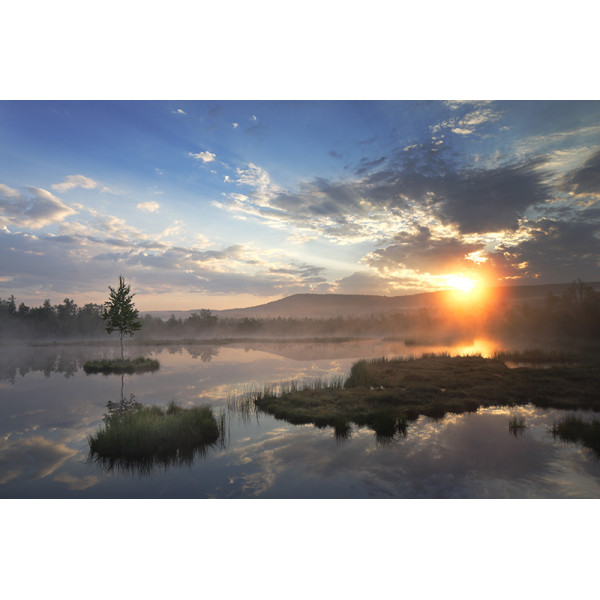 Светофильтр B+W 701 Graduated ND 50% MRC F-Pro 77