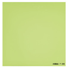 Світлофільтр Cokin Yellow Green P 006