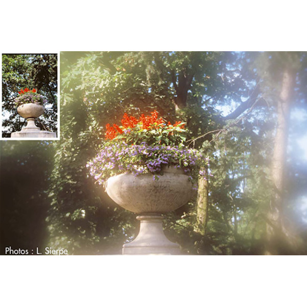 Світлофільтр Cokin C.Spot Incolor 1 P 060