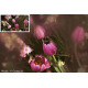 Светофильтр Cokin C.Spot WA Incolor 2 P 071