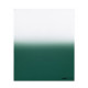 Світлофільтр Cokin Gradual Emerald E2 P 131