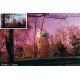 Светофильтр Cokin Polacolor Red P 161