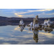 Светофильтр Cokin Circular Polarizer P 164