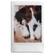 Фоторамка Fujifilm INSTAX 3 RANDOM MOUNT MINI FRAME Light Oak (70100139130)