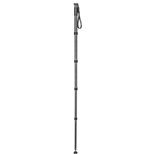 Монопод Gitzo GM4552L Series 4 із вуглецевого волокна