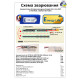 Аккумуляторная батарея 2S4P Energy Life 19200мАч LG 21700-M50LT Li-Ion 12AWG XT60-F