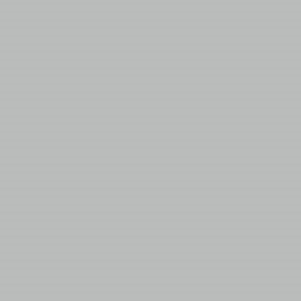Паперове тло Colorama 1.35 x 11м Mist Grey