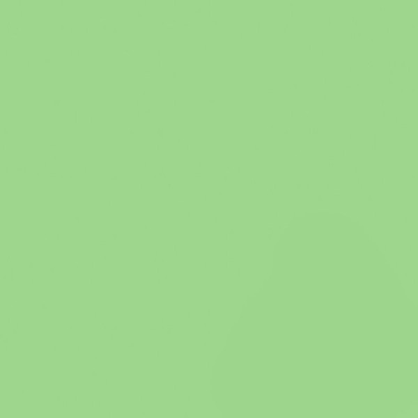 Паперовий фон 2,72 х 11,0 м зелений (Spring Green)