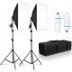 Набор постоянного света Visico Mikrosat FL-EB5070-2 Double Kit