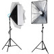 Набор постоянного света Visico Mikrosat FL-EB5070-2 Double Kit