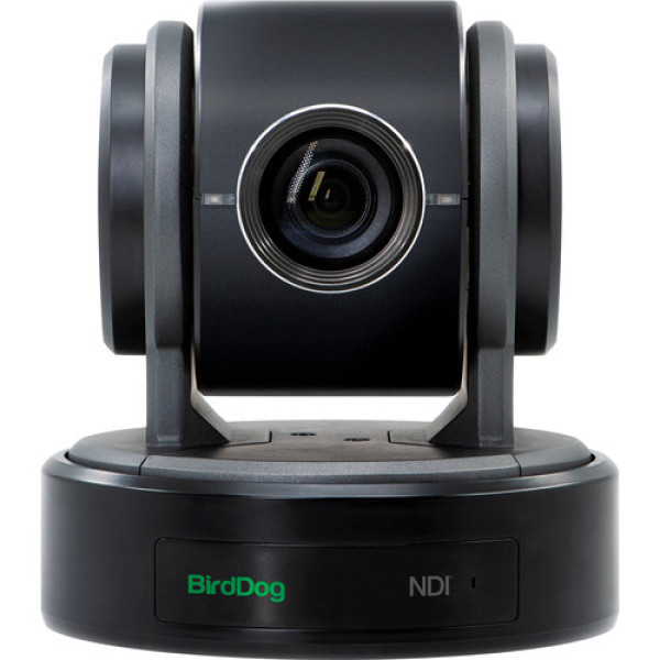 PTZ Камера BirdDog Eyes P100 (Black)