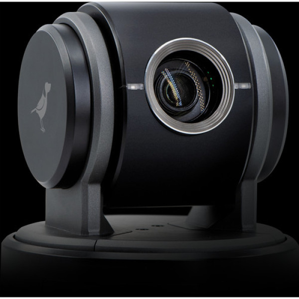 PTZ Камера BirdDog Eyes P100 (Black)