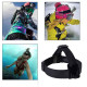 Кріплення на голову GoPro Head Strap PhotoGear PGG142
