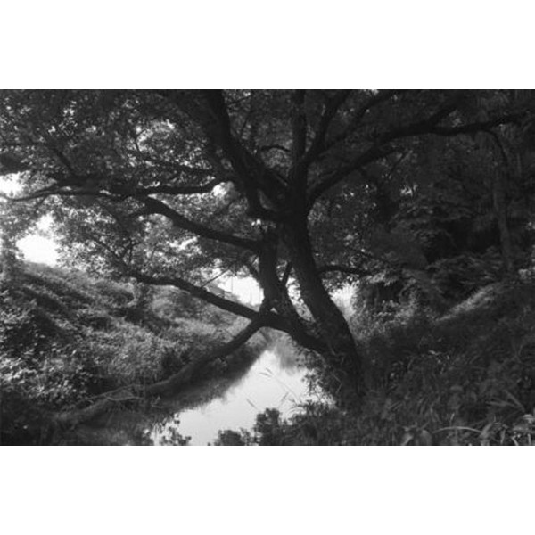 Фильтр Hoya 55mm Infrared R72 Filter