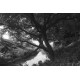 Фильтр Hoya 55mm Infrared R72 Filter