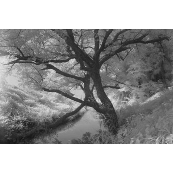 Фильтр Hoya 55mm Infrared R72 Filter