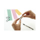 Карточки C-профиля 40x15 фиолетовые Magnetoplan C-Profil Label Violet Set (1289119)