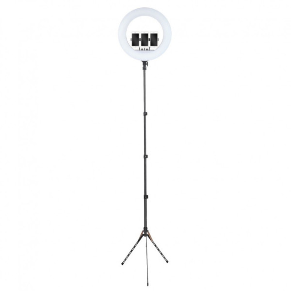 Кольцевая лампа 54см LED RL-21 со штативом 191см AC Prof