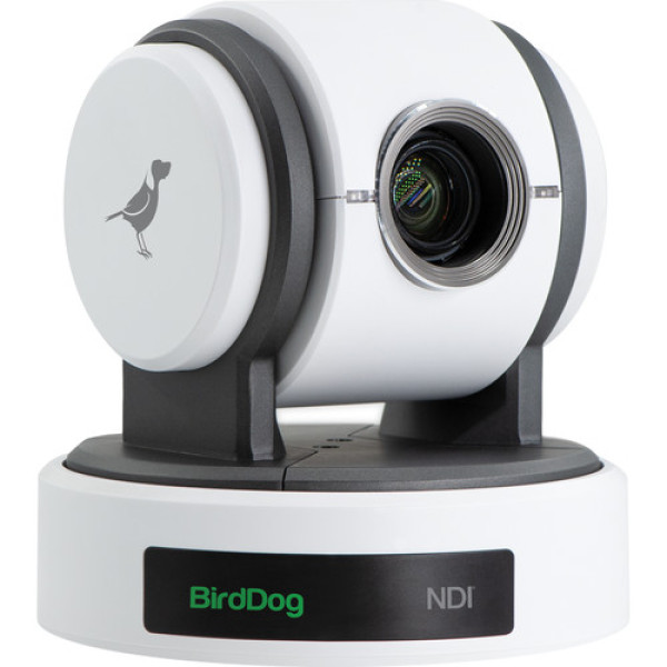PTZ Камера BirdDog Eyes P100 (White)