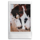 Фоторамка Fujifilm INSTAX MINI ACRYLIC PHOTO BLOCK (70100139552)