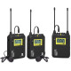 LENSGO LWM-328C беспроводная микрофонная аудиосистема 2х1