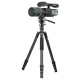 Штатив Vanguard Vesta Go 264CV12 (Vesta Go 264CV12)