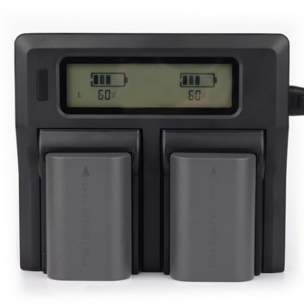 Зарядное устройство MyGear dual DC-LCD для двух аккумуляторов Canon LP-E6, AC кабель