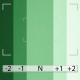 BD Фоновая бумага Veri Green 2.72 x 11 м - BD132A1