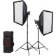 Комплект Видеосвета SL60IIBi KIT (SL60IIBi-2, стойка 2м-2, SB-BW60*90-2, RC-A6, CB-05A)