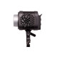 LED свет Amaran Halo 300x (MP0001043T)
