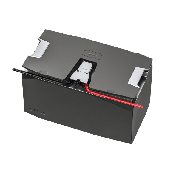 Адаптер LFP Battery Polarity Adapter