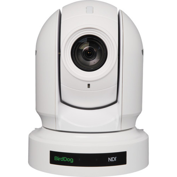 PTZ Камера BirdDog Eyes P200 (White)