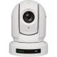 PTZ Камера BirdDog Eyes P200 (White)