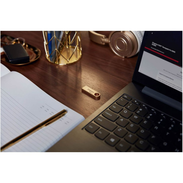 Флеш-накопитель Kingston USB 3.2 SE9 G3 256GB 220MB/s Metal/Gold