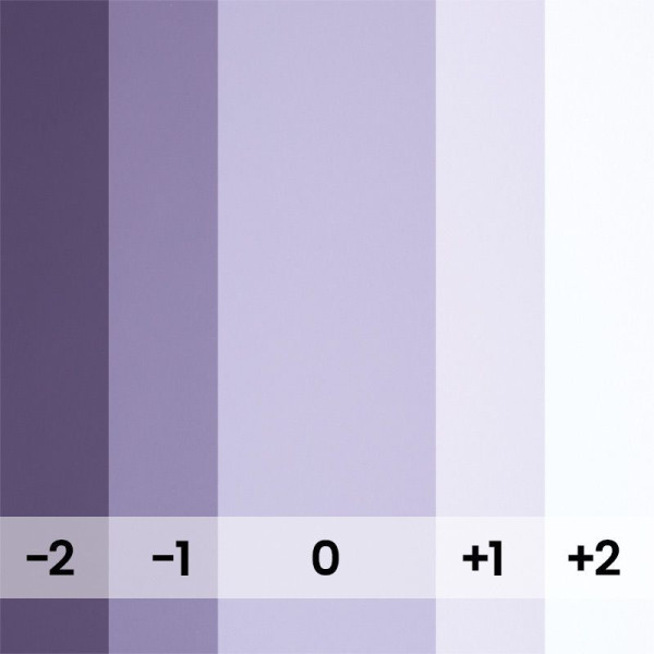 Паперовий фон 2,72 х 11,0 м Фіолетовий (Violet)