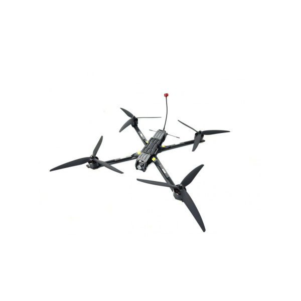 Квадрокоптер FPV 10 дюймов Dronesky10 (ERLS)