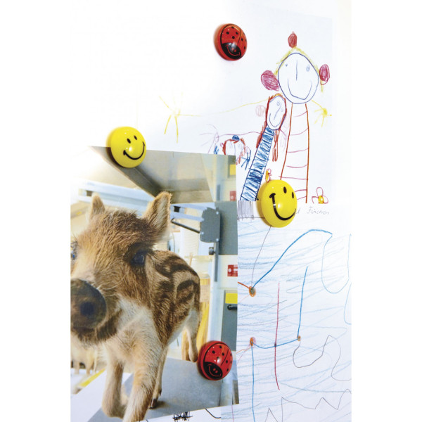 Магниты-смайлы 20/0.02 Magnetoplan Smile Set (16671)