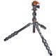 Штатив 3 LEGGED THING Leo 2.0 Grey Карбоновий, 5 секцій, кульова голова AirHed Pro LV та чохол у комплекті (LEOKITGREY2)