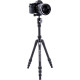 Штатив Vanguard Vesta TB 204ABS (Vesta TB 204ABS)