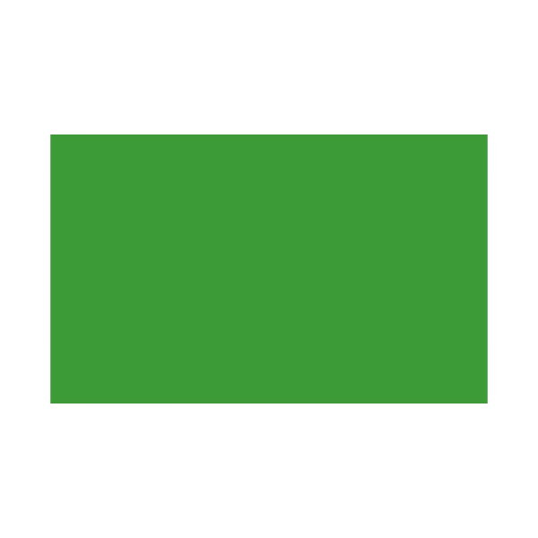 Паперовий фон 1.35 х 11.0 м Зелений (Veri Green)